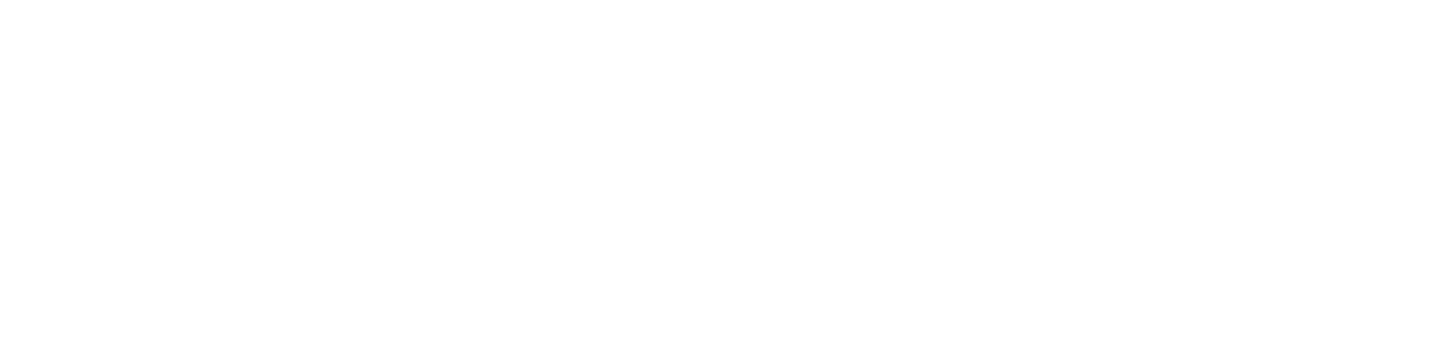 Logo Feuerwehr Bingen